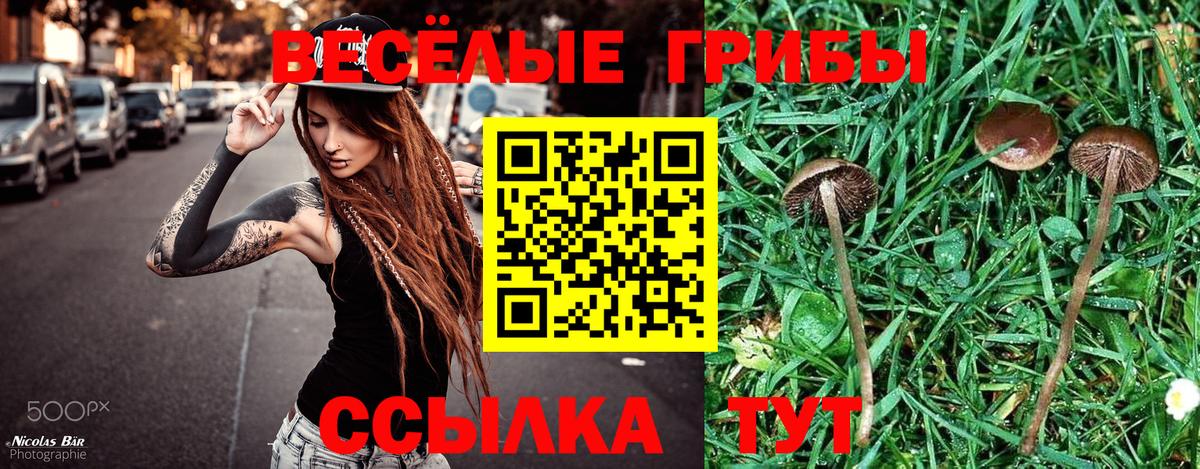Благодарный  Псилоцибиновые грибы Psilocybe  Вход с VPN  Галлюциногенные грибы Magic Shrooms 