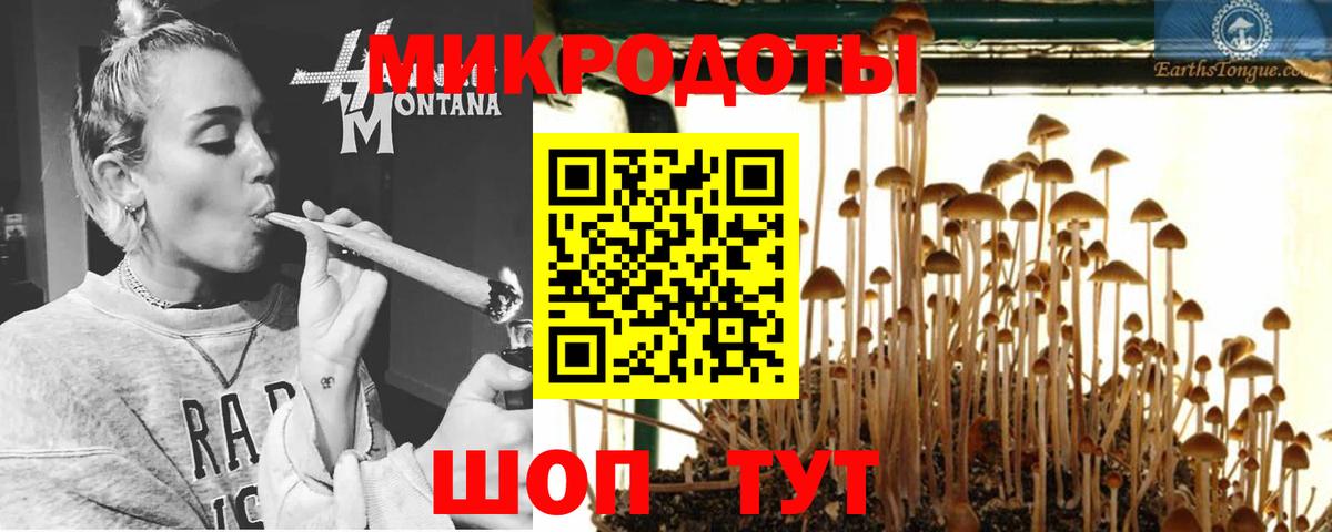 Галлюциногенные грибы мицелий Благодарный